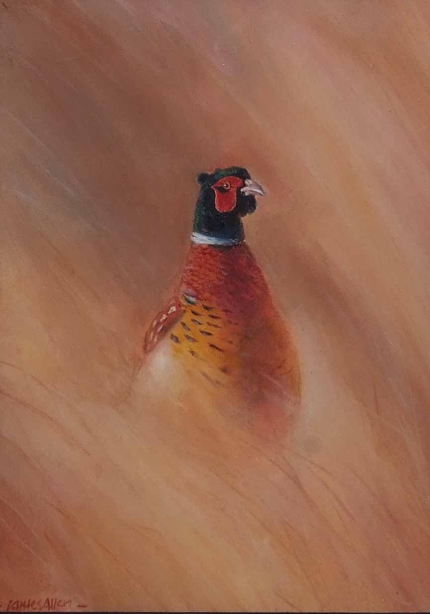 James J Allen (contemporary), "Morning Pheasant", oil on board, signed lower left, 19 x 13cm - Image 2 of 2
