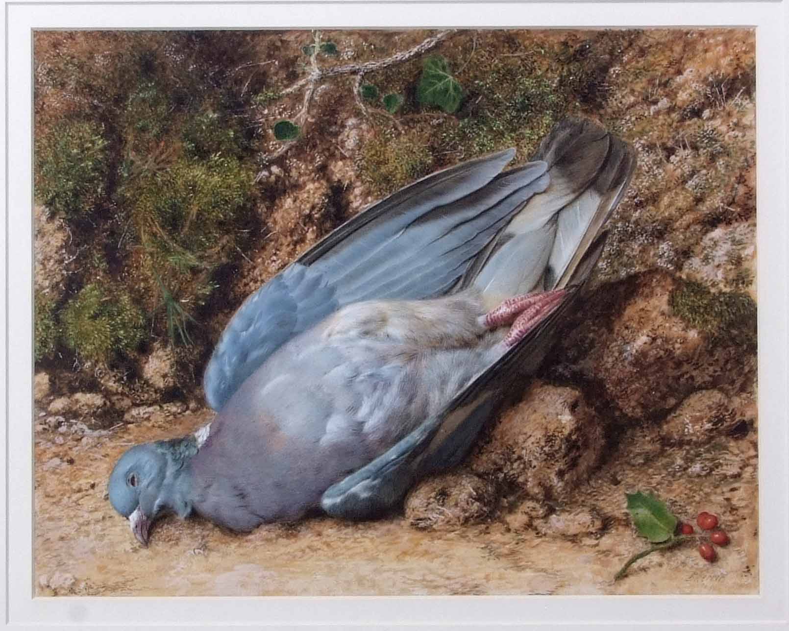 John Sherrin (1819-1896), Still Life study of dead pigeon on mossy bank, watercolour, signed lower