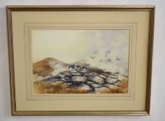 AR Berrisford Hill (20th Century), Ptarmigan on the Moors, watercolour, signed lower right, 25 x