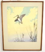 R Jacob (20th Century), Snipe in Flight, watercolour, signed lower right, 42 x 34cm