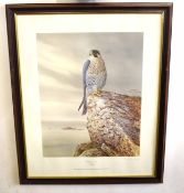 R David Digby (B1936) "Peregrine Falcon", "Red Kite" and "Goldie - The Golden Eagle", 3 coloured