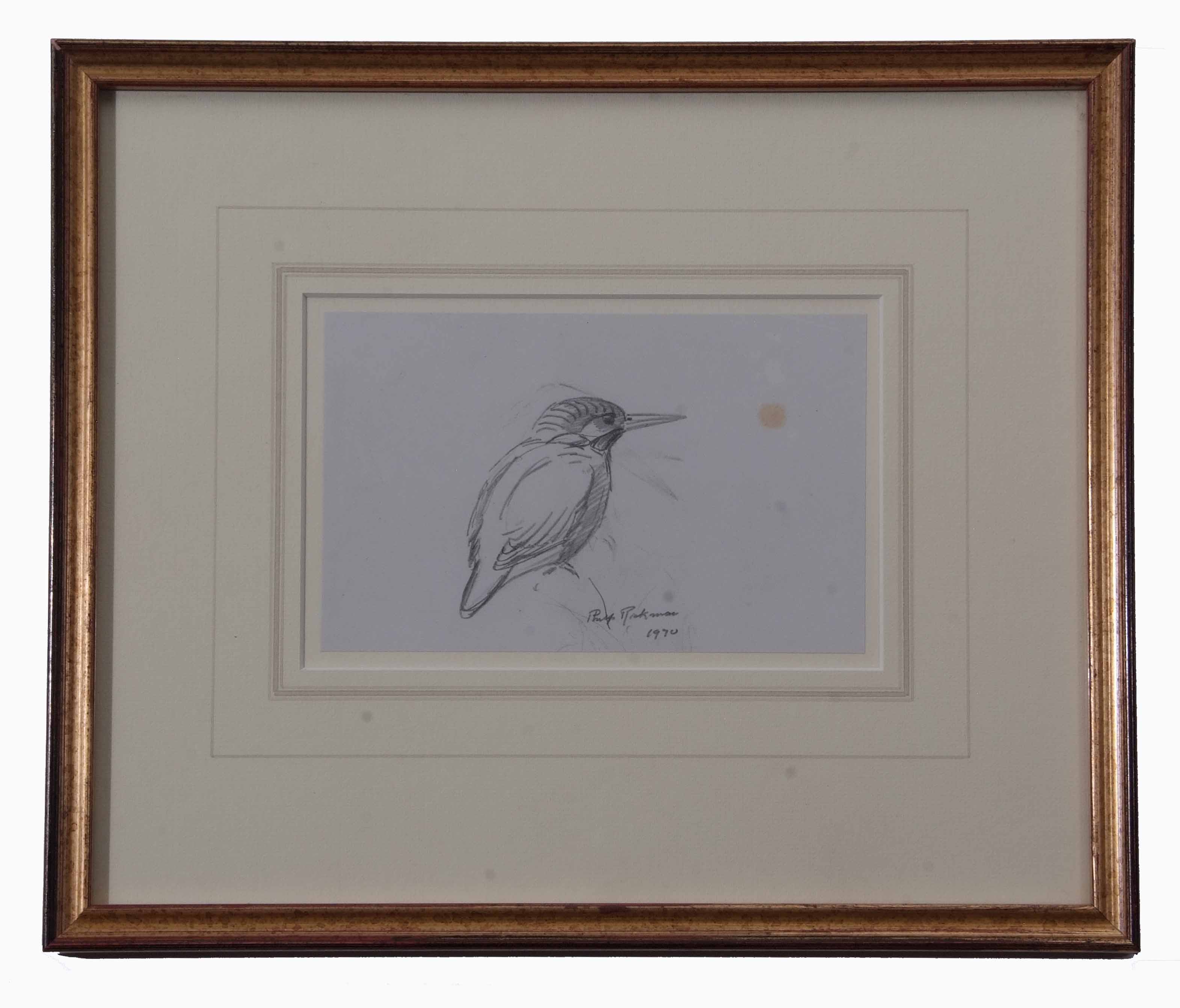 AR Philip Rickman (1891-1982), Kingfisher, pencil drawing, signed and dated 1970, 11 x 17cm