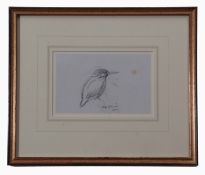 AR Philip Rickman (1891-1982), Kingfisher, pencil drawing, signed and dated 1970, 11 x 17cm