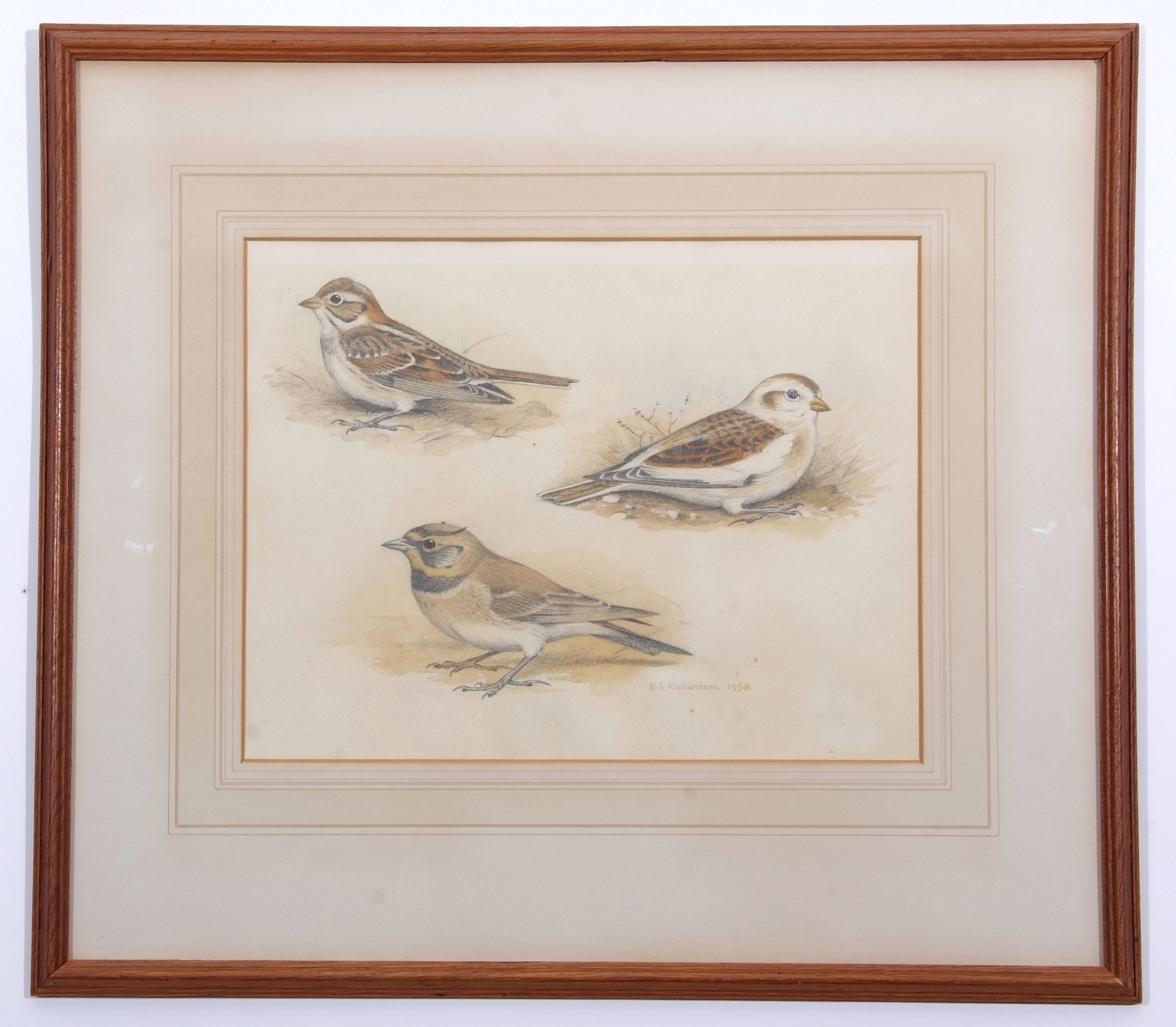 AR Richard A Richardson (1922-1977), 3 Garden Birds, watercolour, signed and dated 1958 lower right, - Image 2 of 2