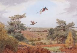 AR John Cyril Harrison (1898-1985), Pheasants, watercolour, signed lower right, 32 x 46cm.