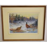 AR Richard Robjent (Born 1937), Pheasant in Winter, watercolour, signed and dated 1985 lower