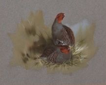 AR Brian Reed (born 1934) , English Partridge , watercolour, signed lower left , 16 x 20cms