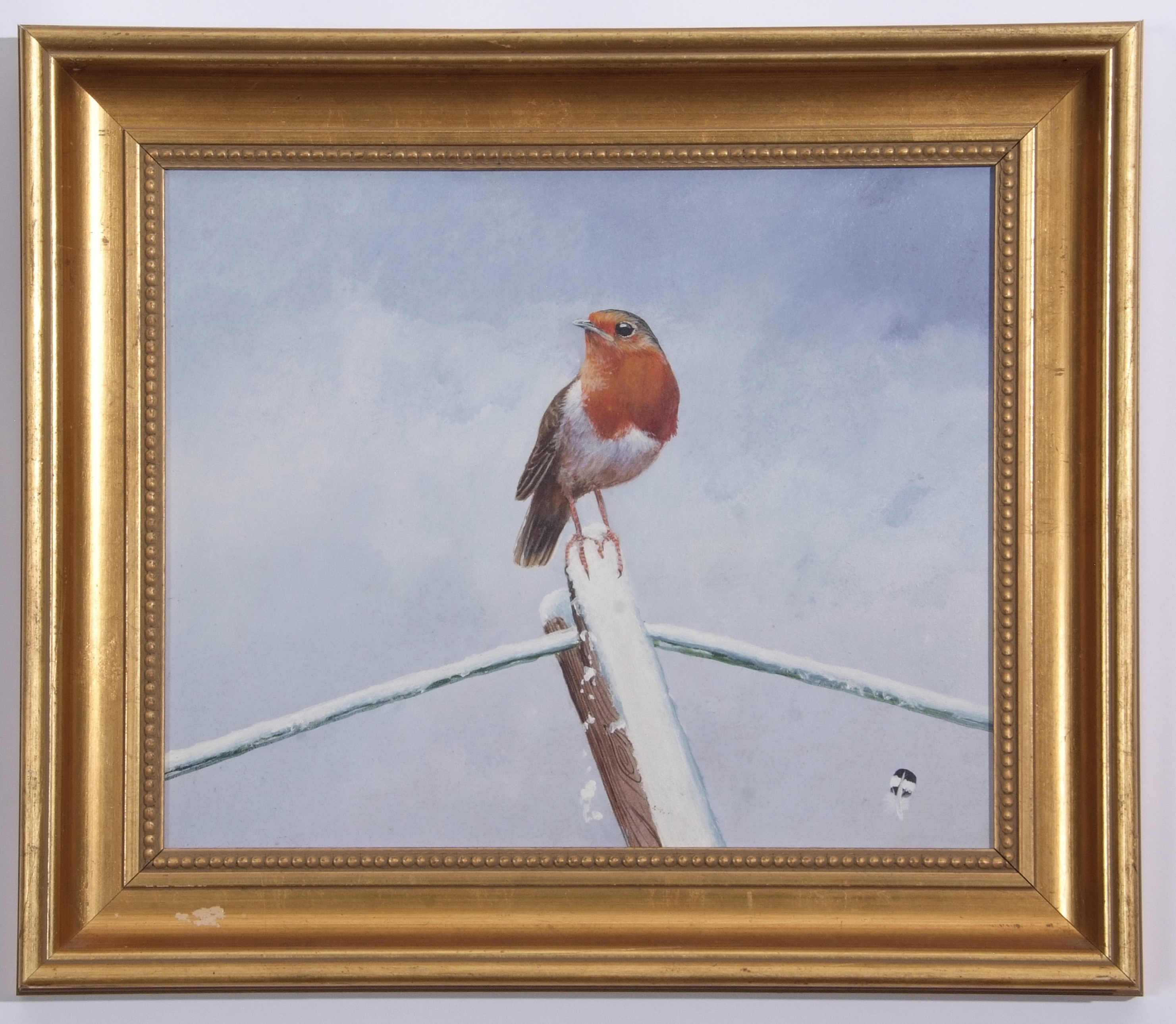 AR David Feather (1952-2005), Robin in Winter, oil on board, signed with feather device lower