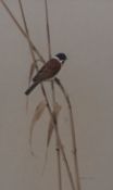 AR Raymond Watson (Born 1935) , "Reed Bunting" , watercolour, signed lower right, 40 x 25cms