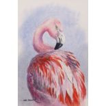 Carl Donner (CONTEMPORARY) , "Chilean Flamingo", watercolour, signed lower left, 30 x 20cm