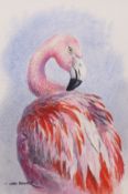 Carl Donner (CONTEMPORARY) , "Chilean Flamingo", watercolour, signed lower left, 30 x 20cm