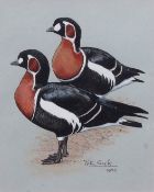 AR Sir Peter Markham Scott, CH, CBE (1909-1989), Pair of redbreasted Geese, pen, ink and