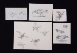 AR John Cyril Harrison (1898-1985), Bird Studies, Packet containing 5 pencil drawings, 3 initialled,