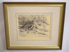 AR Frederick J Watson (20th Century), Little Owl in Landscape, watercolour, signed and dated 1985