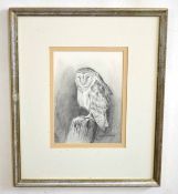 AR Simon Gudgeon (Born 1958), Owl on a Stump, Pencil drawing, signed lower right, 22 x 16cms