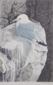 AR Robert Gillmor (born 1936), Gull on a clifftop , coloured print, signed and numbered 79/200 in