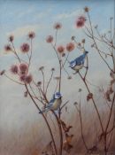 AR Philip Rickman (1891-1982), Blue Tits on thistle, watercolour, signed and dated 1967 lower right,