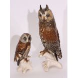 Two European porcelain Owls (2)