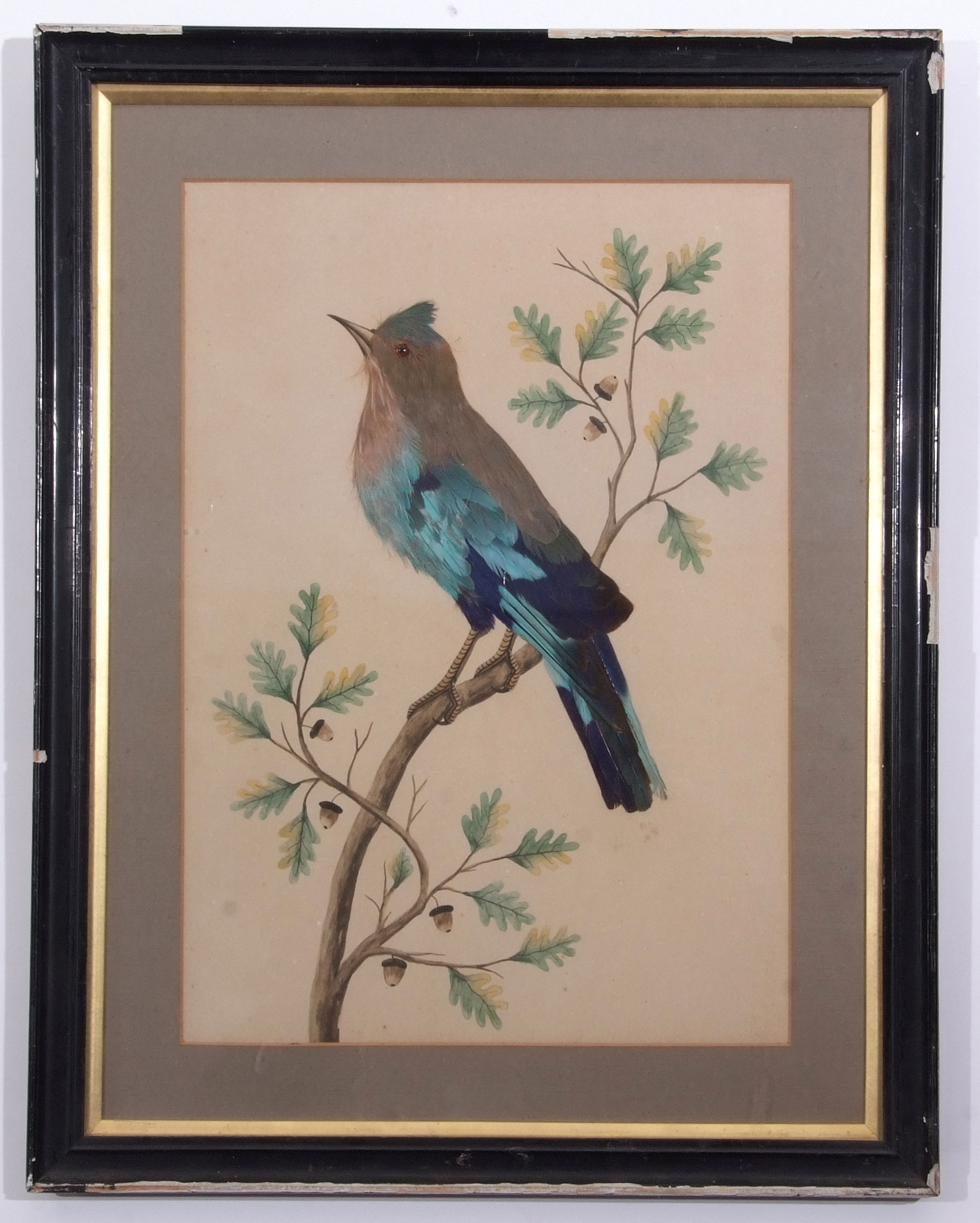 English School (19th Century), Bird Studies, group of 3 watercolour and feather pictures, assorted - Image 3 of 3
