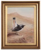 Charles Whymper (1853-1941), Study of a Rosy-Vented Chat in a desert landscape, watercolour,