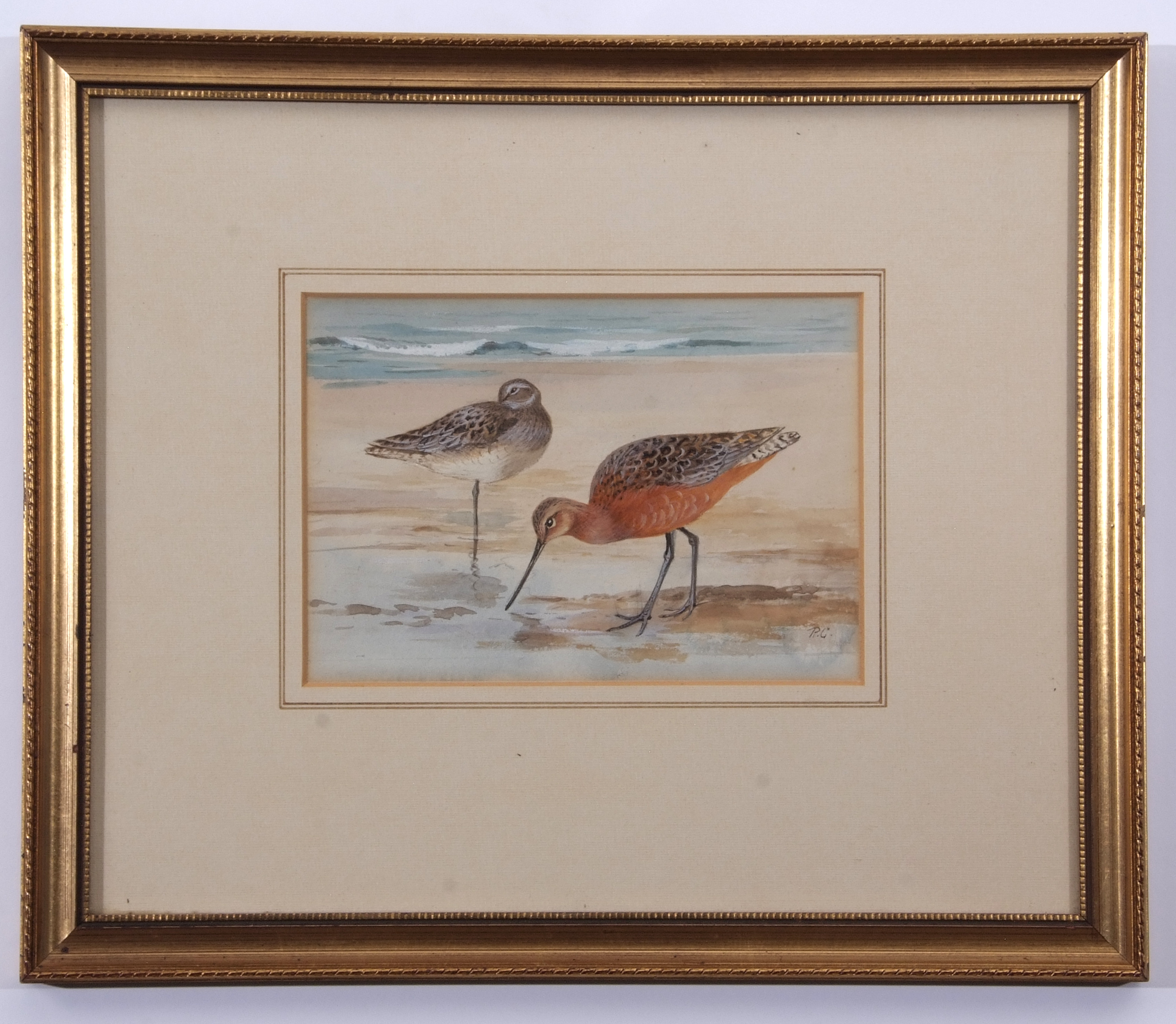 AR Roland Green (1896-1972), pair of Bar-tailed Godwit, watercolour, initialled lower right, 13 x - Image 2 of 2