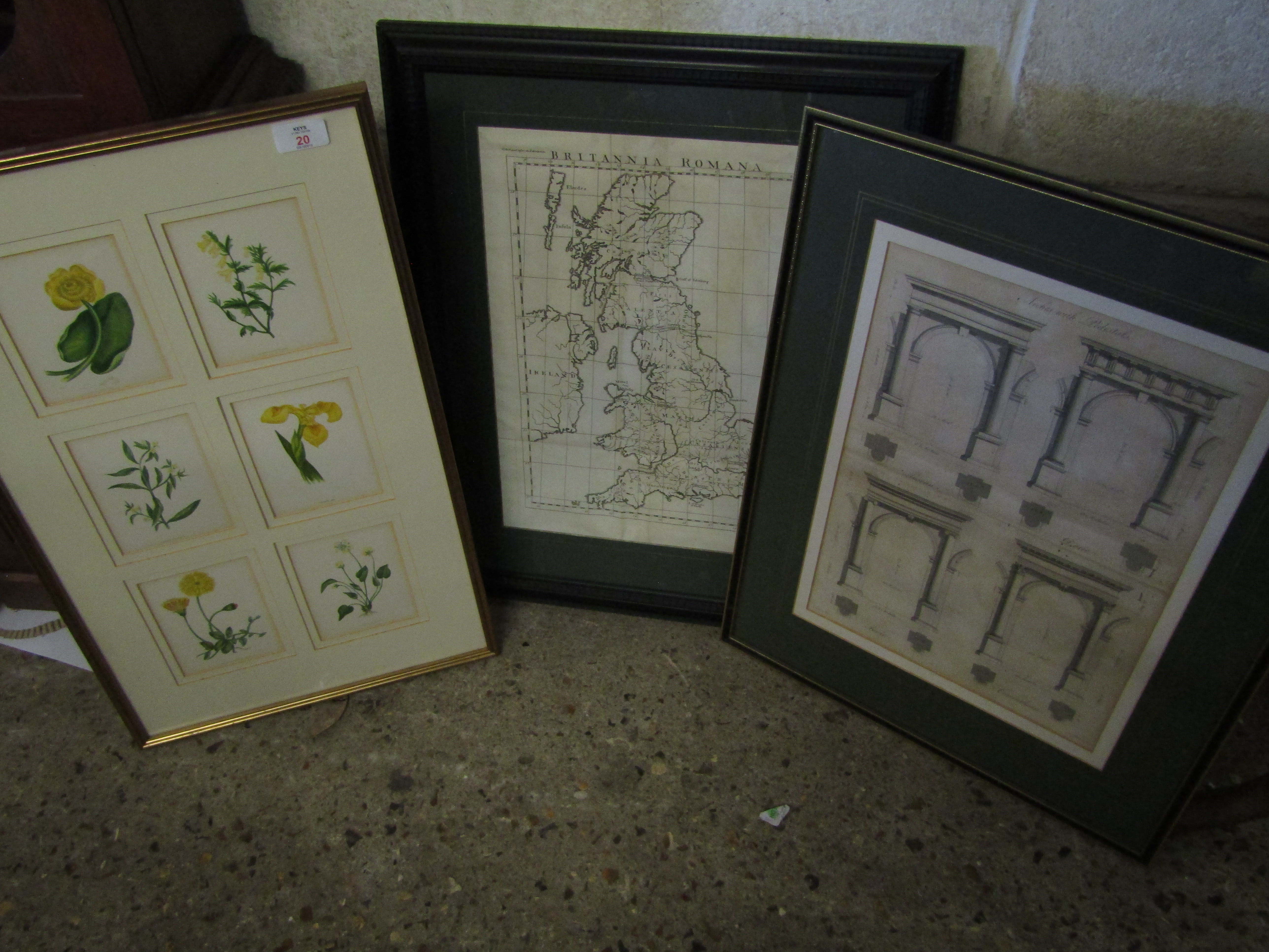 BOTANICAL PRINT TOGETHER WITH A FURTHER REPRODUCTION MAP OF BRITAIN AND A FURTHER PRINT (3)