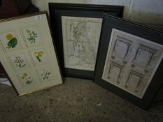 BOTANICAL PRINT TOGETHER WITH A FURTHER REPRODUCTION MAP OF BRITAIN AND A FURTHER PRINT (3)