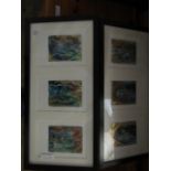 THREE FRAMED PICTURES WITH GOLD FINISH SIGNED SARAH OLLERTUSHAW