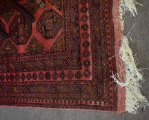 Good quality large Bokhara type carpet with repeating lozenge centre in a red field with multi-