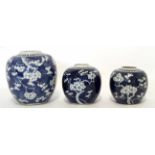 Group of three Chinese porcelain globular jars all decorated with prunus on a blue ground, the