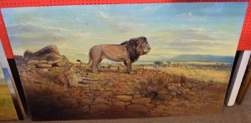 John G Mace, signed and dated 95, oil on board, Lions in extensive landscape, 76 x 123cm, unframed