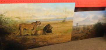 John G Mace, signed two oils on board, Leopards and Lions in landscapes, 41 x 61cm and 51 x 76cm,