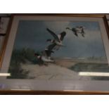 FRAMED J C HARRISON PRINT