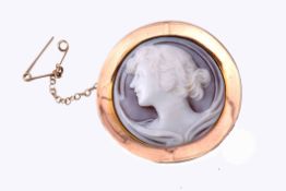 Art Nouveau carved shell cameo brooch, a profile of a young lady framed in a yellow metal circular