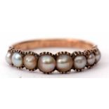 Antique seed pearl ring featuring eight graduated seed pearls in a curved enclosed setting between