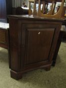 19TH CENTURY MAHOGANY CORNER CUPBOARD WITH SINGLE DOOR RAISED ON BRACKET FEET