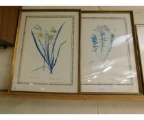 TWO FRAMED BOTANICAL PRINTS