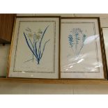 TWO FRAMED BOTANICAL PRINTS