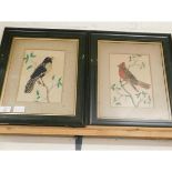 TWO VICTORIAN FEATHER PICTURES OF BIRDS ENTITLED "PINTO" AND "CARDENAL"