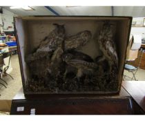 CASE CONTAINING MIXED TAWNY OWLS AND A BIRD OF PREY (A/F)