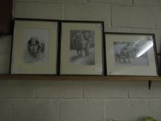 THREE PRINTS OF A RHINO, A LION AND A BUFFALO