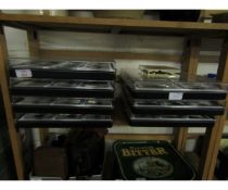 SEVEN TRAYS OF PERSPEX CASED BUGS