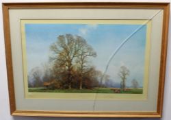 David Shepherd, signed in pencil to margin, limited edition (634/800) coloured artist's proof with