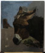 Unsigned and unfinished oil on canvas, Head of a donkey, 76 x 63cm, unframed