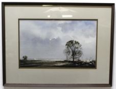Indistinctly signed watercolour, Norfolk landscape, 32 x 51cm