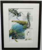 Treadwell, signed in pencil to margin, limited edition (10/125) coloured print, Insects on the