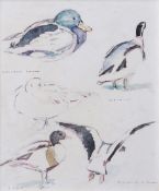Sarah Dyson (contemporary), "Shelduck etc", vignette watercolours, signed and inscribed with titles,