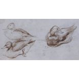 Arthur James Stark (1831-1902), Ducks, brown ink drawing with further pencil drawing of a cat on