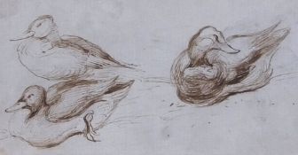 Arthur James Stark (1831-1902), Ducks, brown ink drawing with further pencil drawing of a cat on