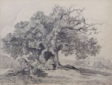 Miles Edmund Cotman (1810-1858), Oak tree with distant castle pencil drawing, signed and